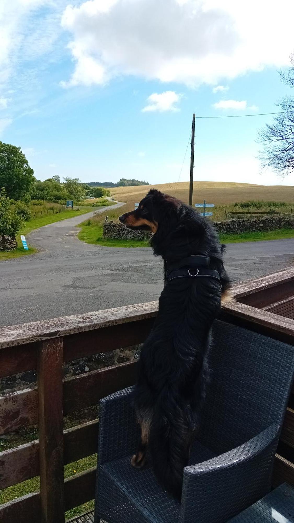 Baytree Lodge At Three Lochs Holiday Park, New Ask About Our Packages Birthday ,Anniversary,Family,Pamper Packages Available Balminnoch Exterior photo